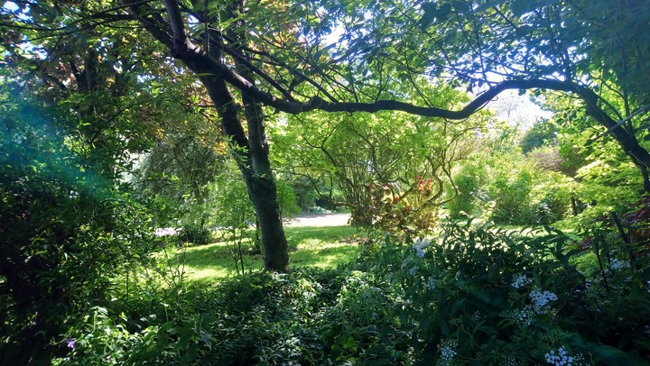 The Sunny Garden