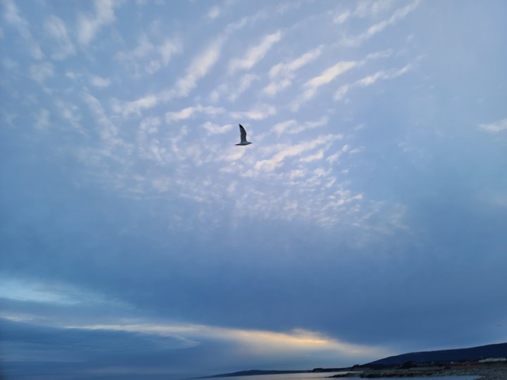 mackerel sky