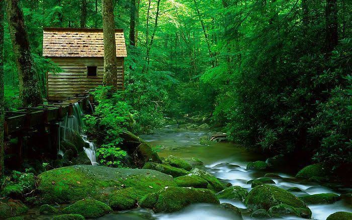 #Nature