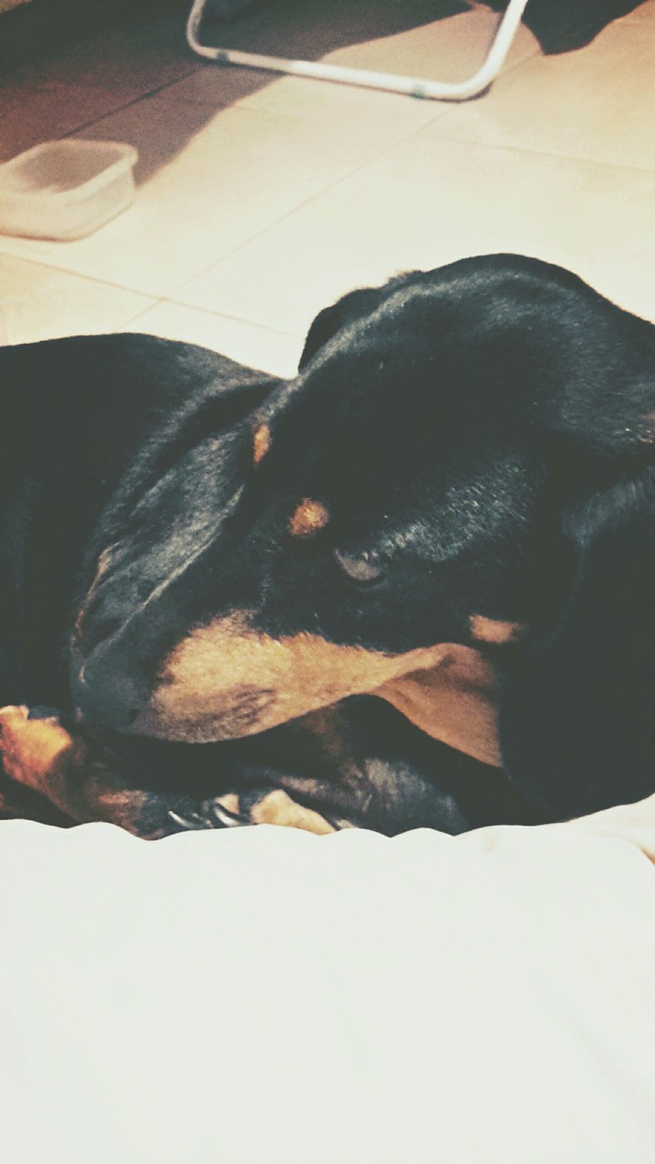 I love her eyes!