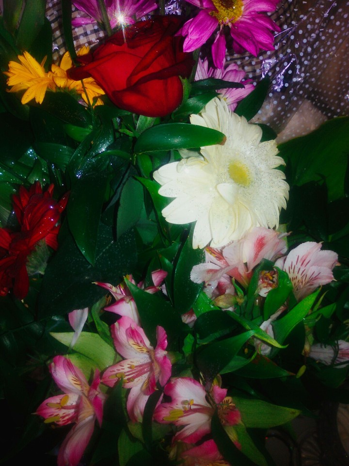 flower