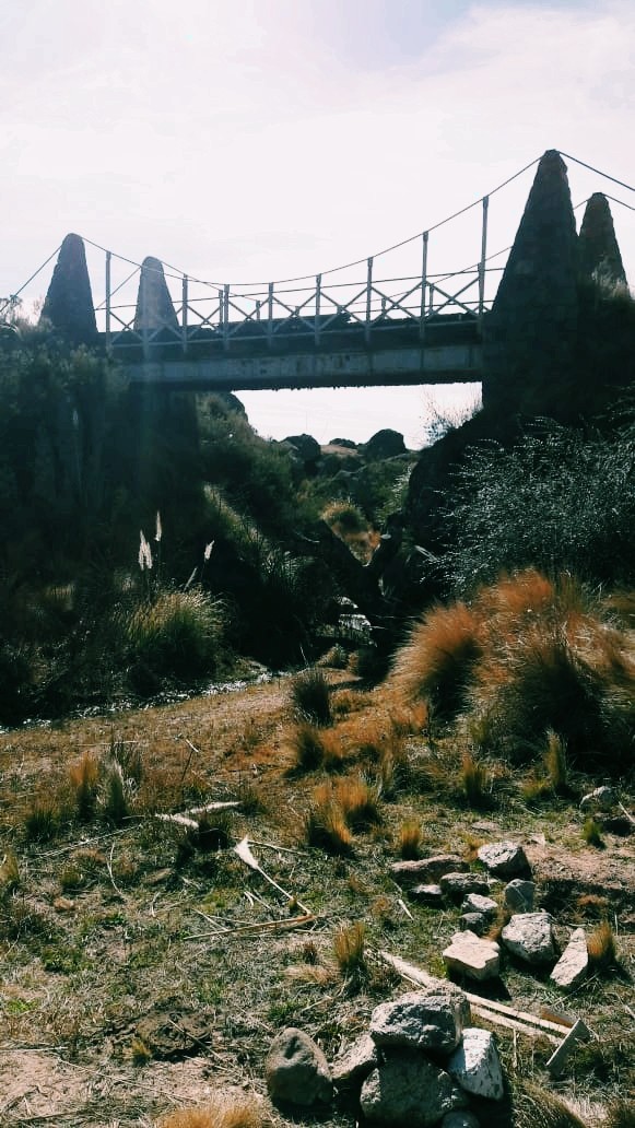 puentes colgantes
