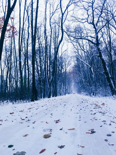 Autumn & Winter