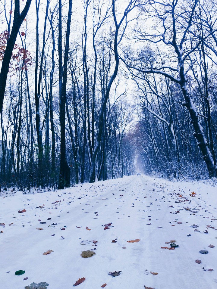 Autumn & Winter