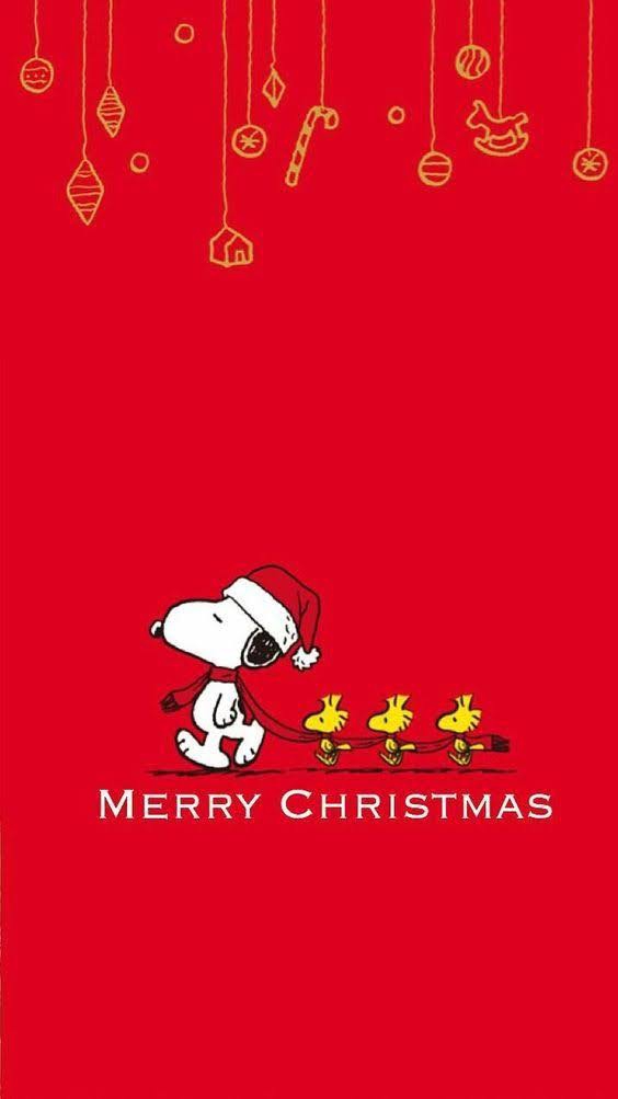 Merry Christmas from Snoopy and Woodstock