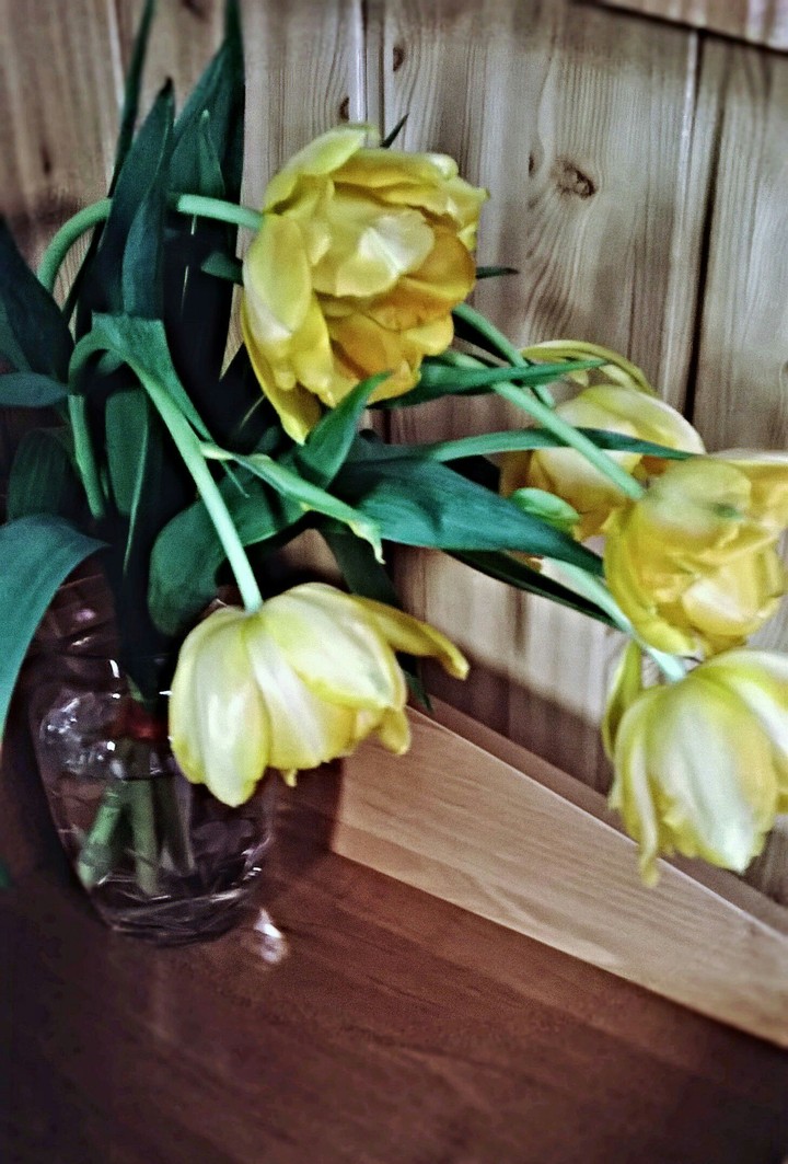 Tulipany