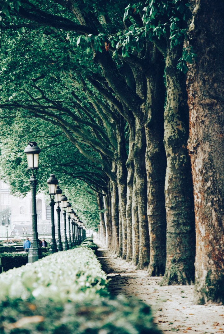 Wandering in Belgium