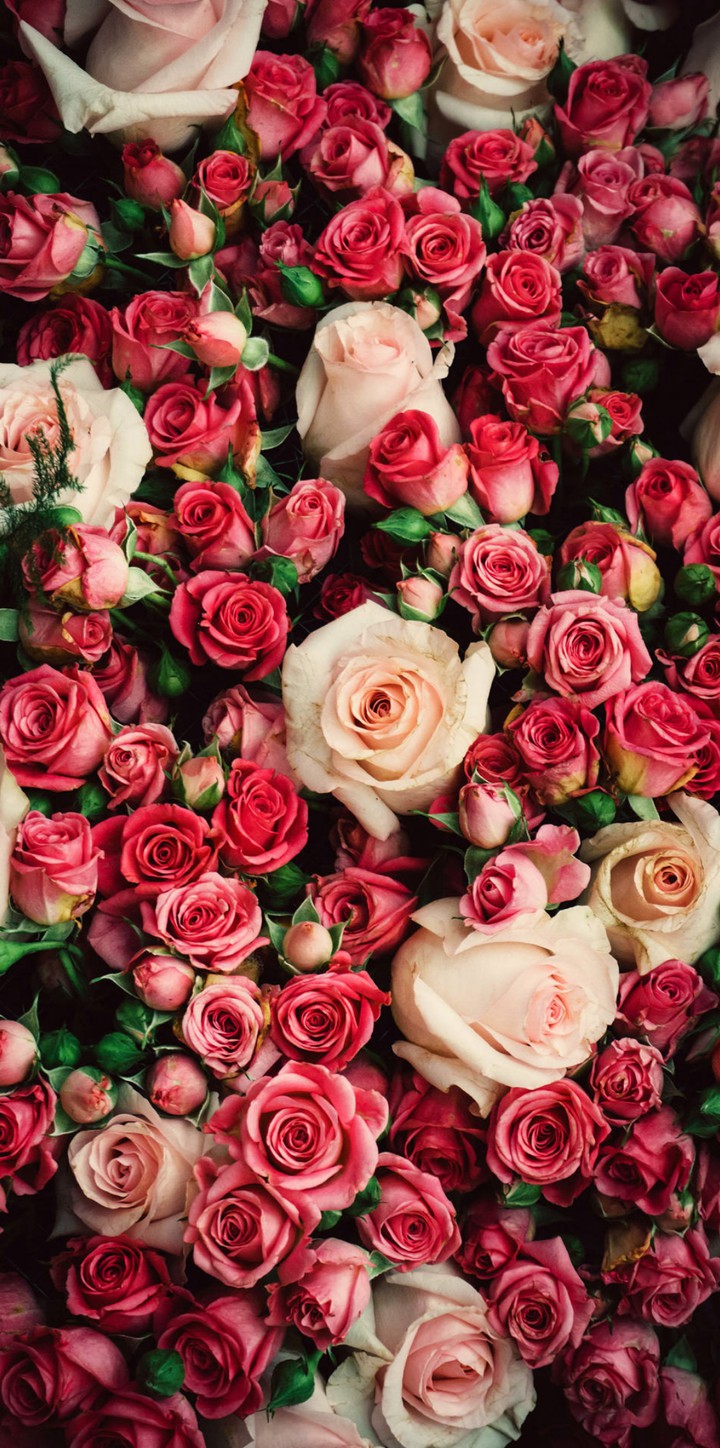 ♥