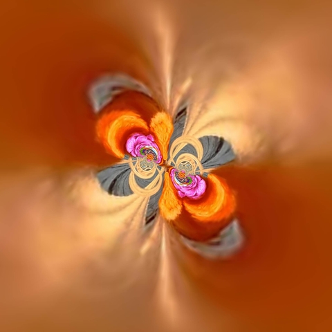 petal, symmetry háttérképek