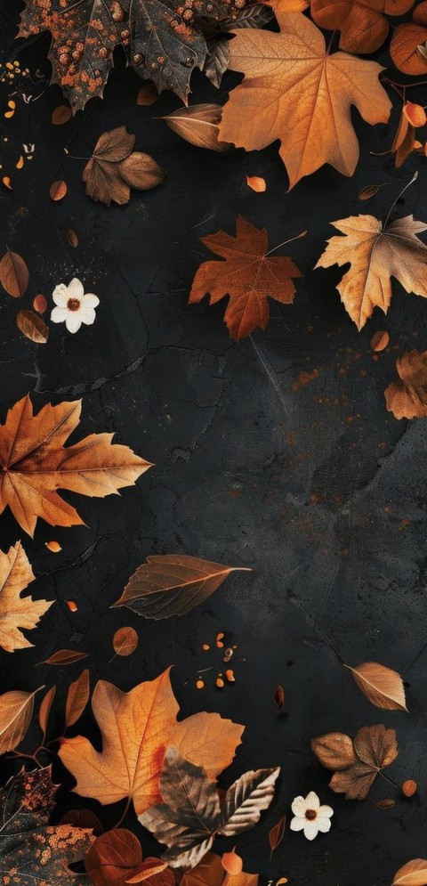 LEAVES and PETALS