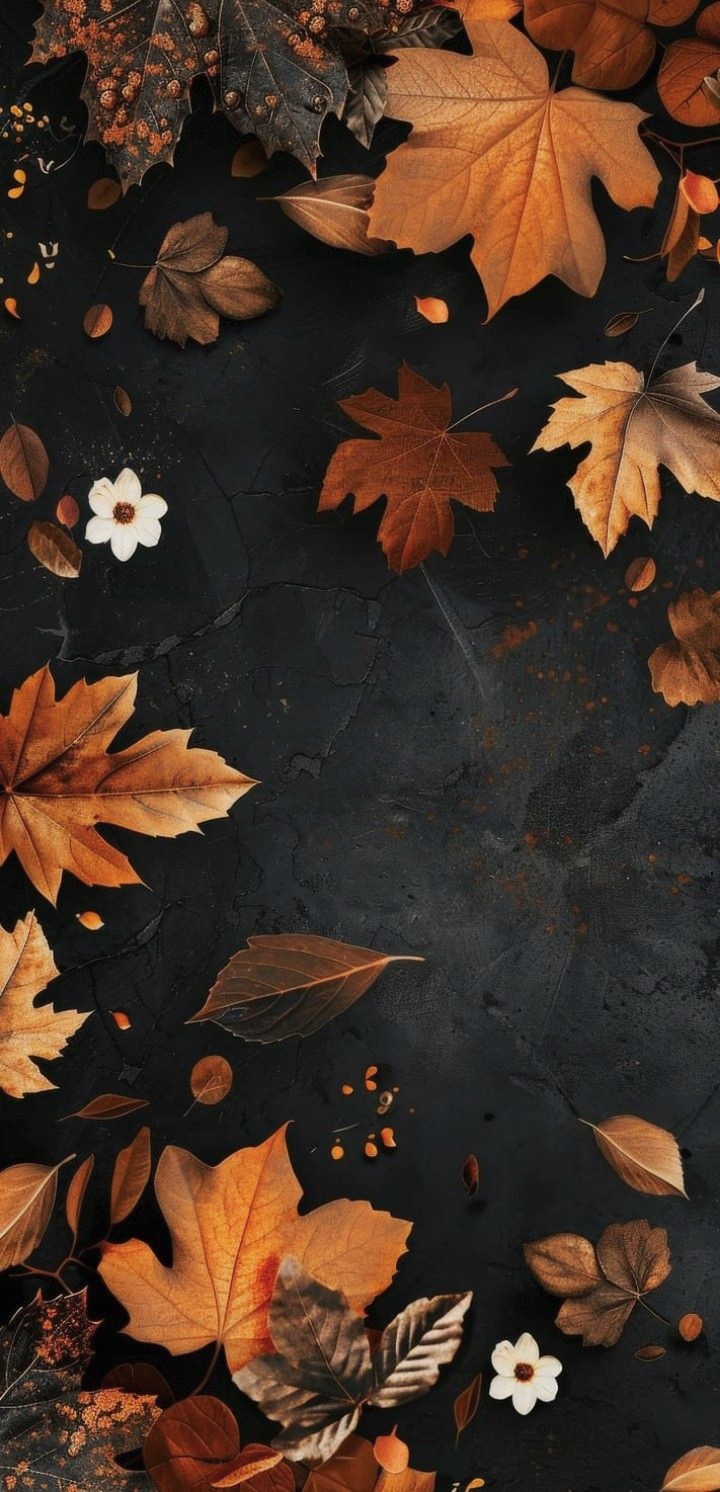 LEAVES and PETALS