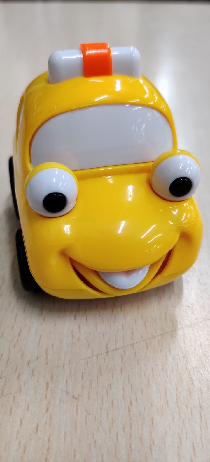 toy
