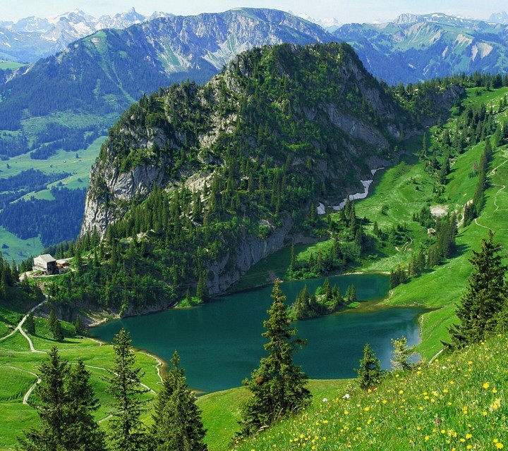 amazing nature