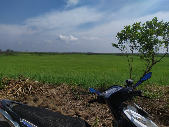 rintisan abulung lombo