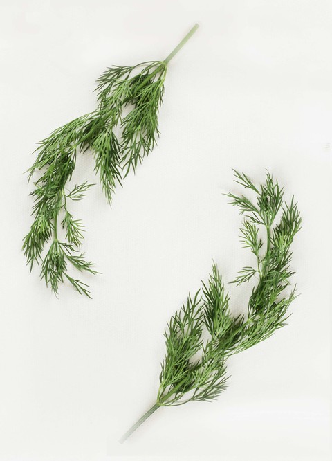 greenery
