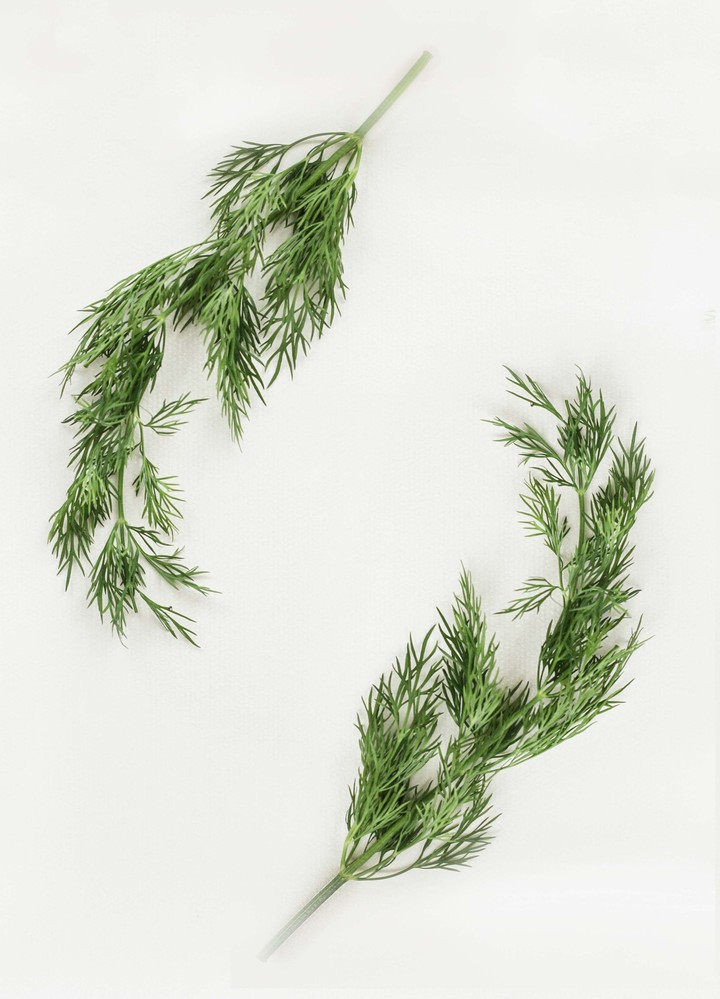 greenery