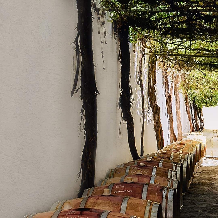 barricas Parras de la Fuente, San Lorenzo, Coahuila México