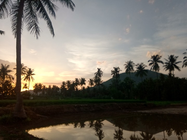 EvEnInG vIeW