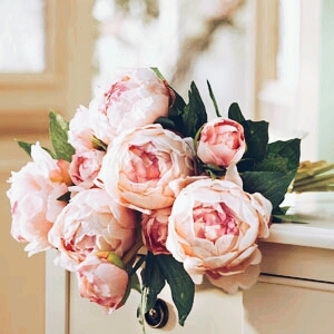 for uu... akiyo