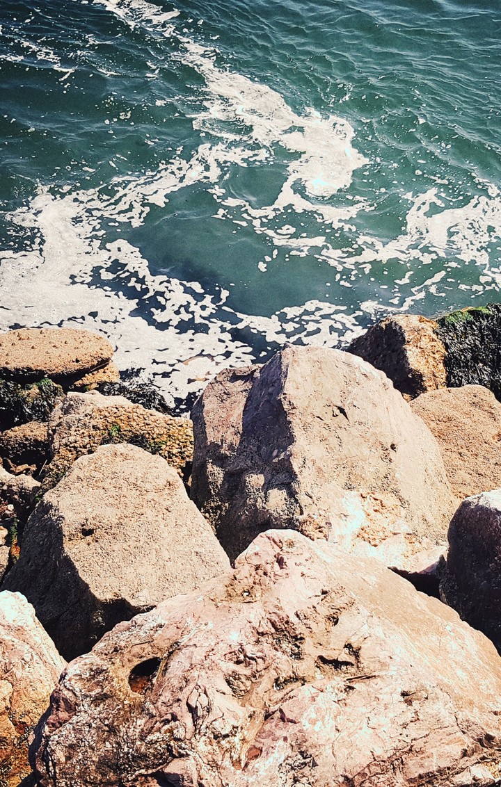 Rocky shore