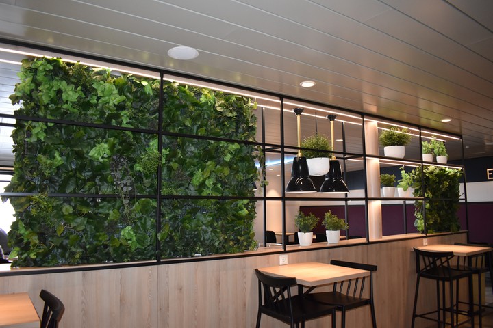 Ship's Garden