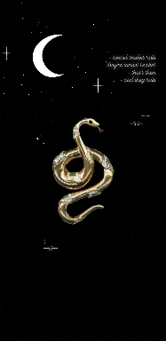 tunnel snakes