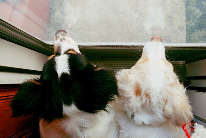 Outside?