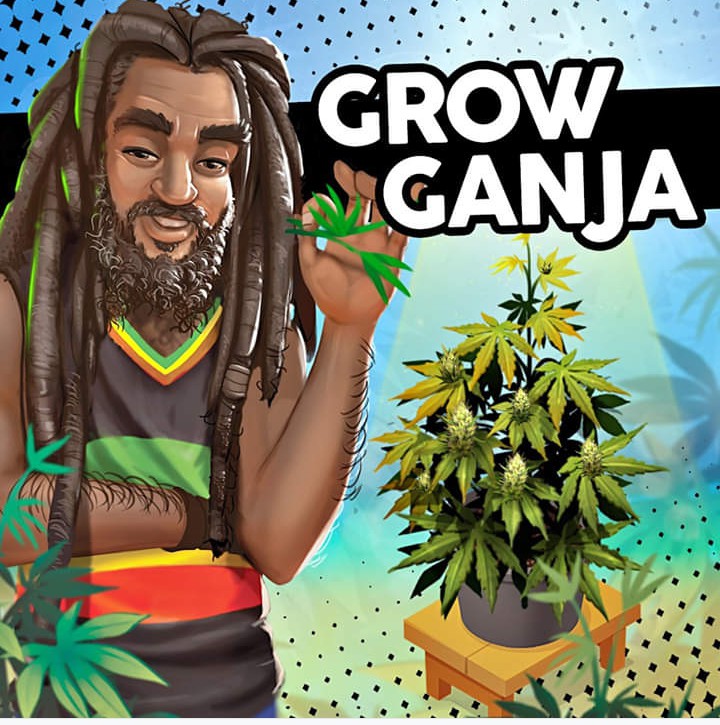 Weed