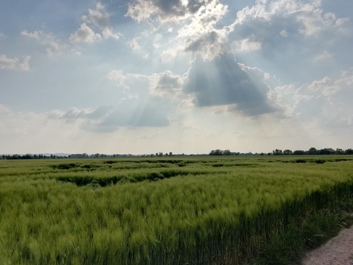 clouds