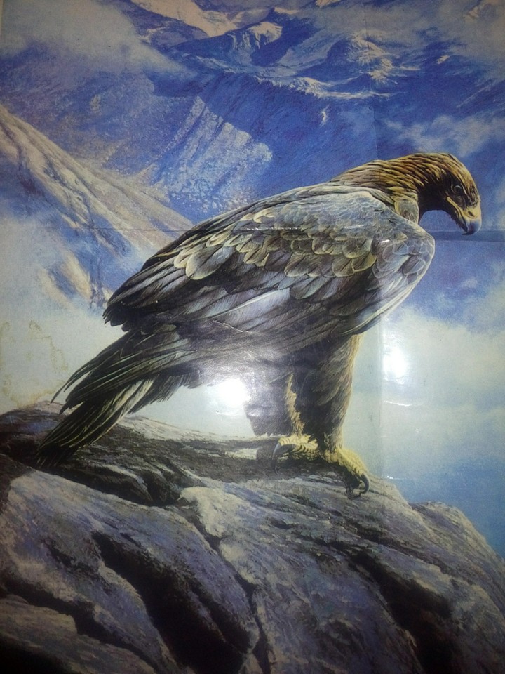 Eagle