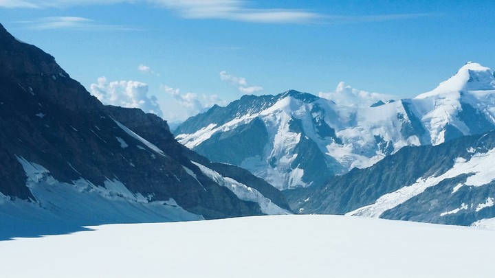 Swiss apls