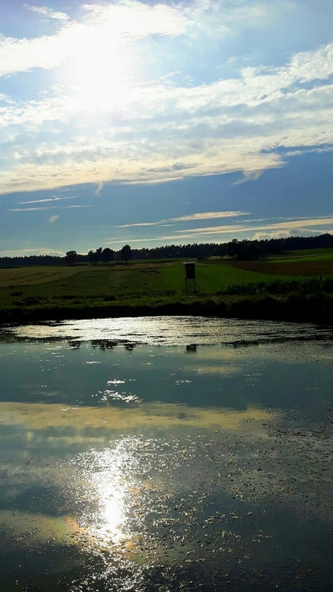 Am Abend, am See