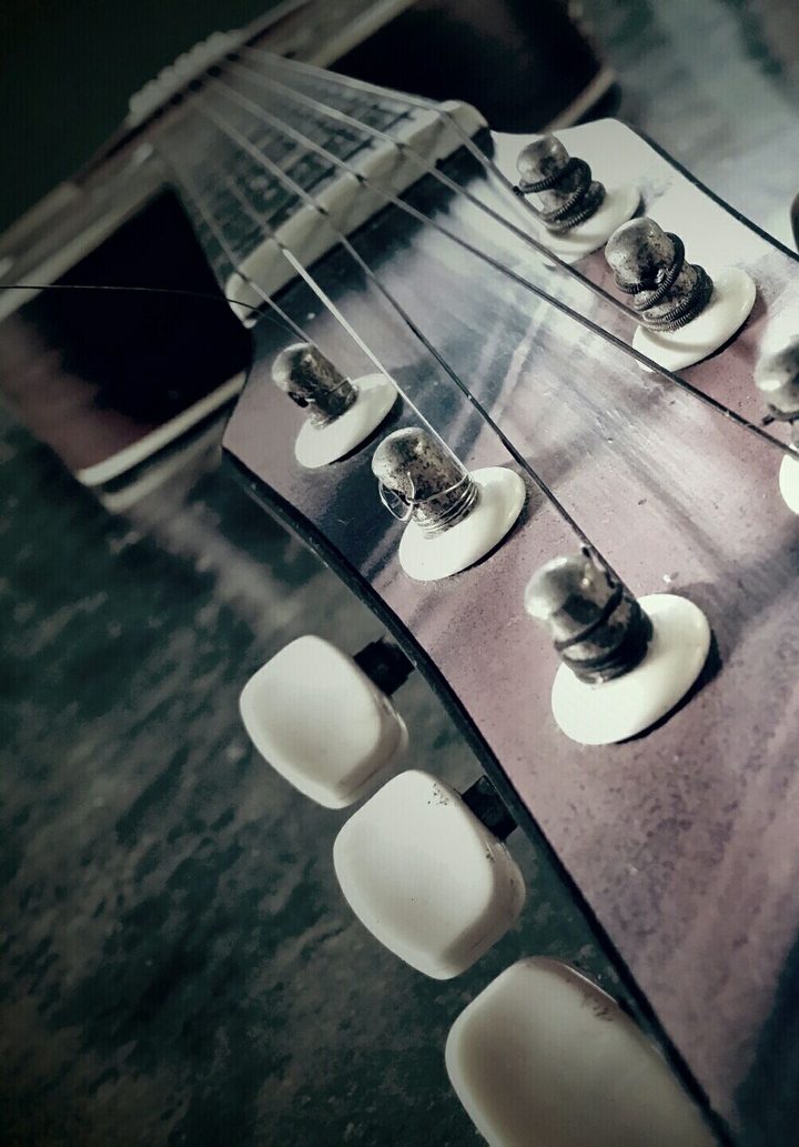 Guitar