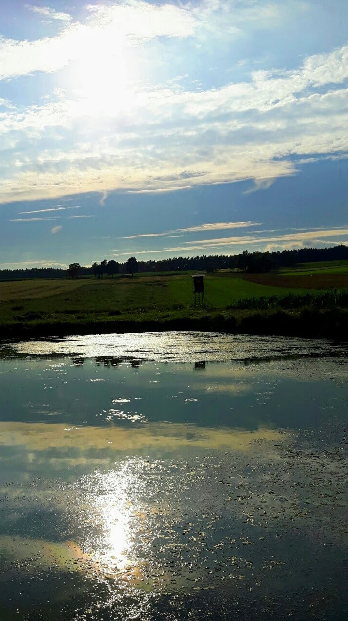Am Abend, am See