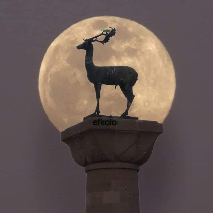 Rhodes
