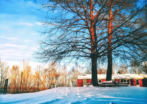 winter wonderland