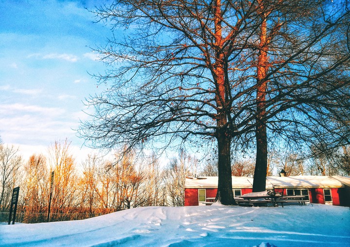 winter wonderland