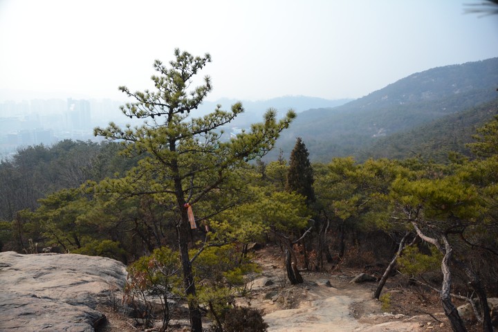 관악산의2월이미지