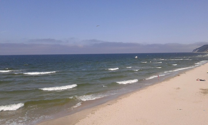 Little Waves