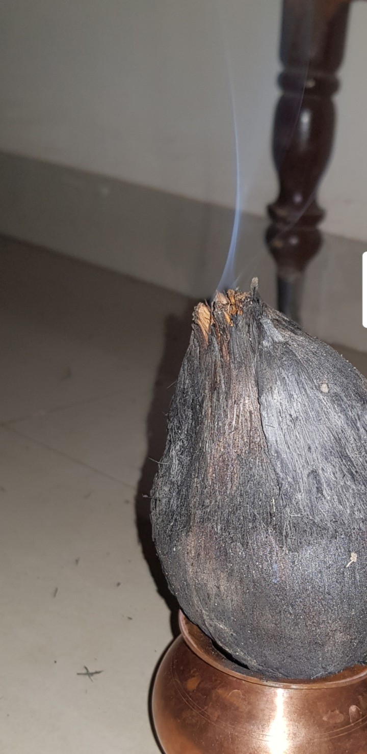 holika dahan coconut