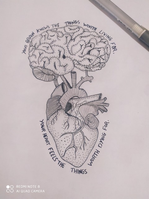 .my drawings