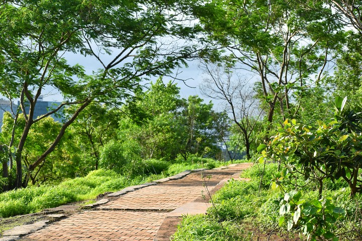 wild trail