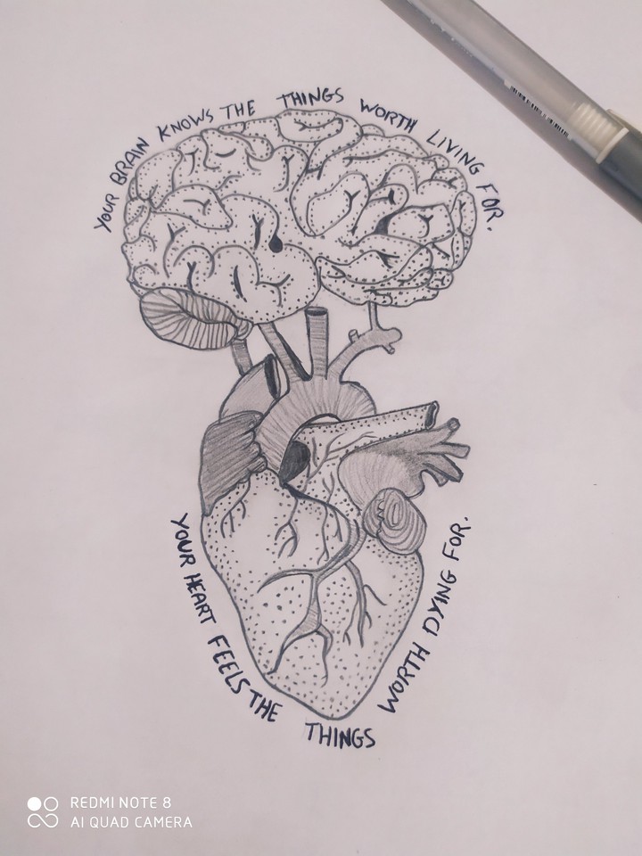 .my drawings