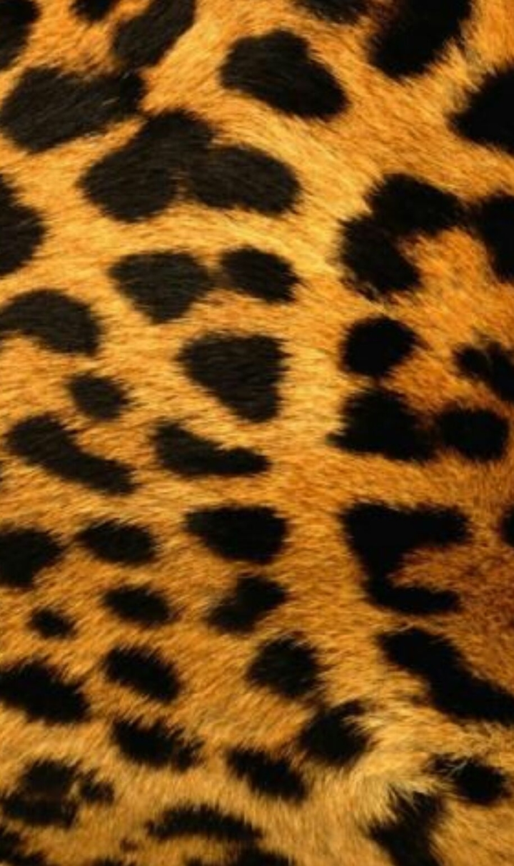 leopard fur