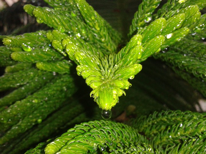 Monsoon photography