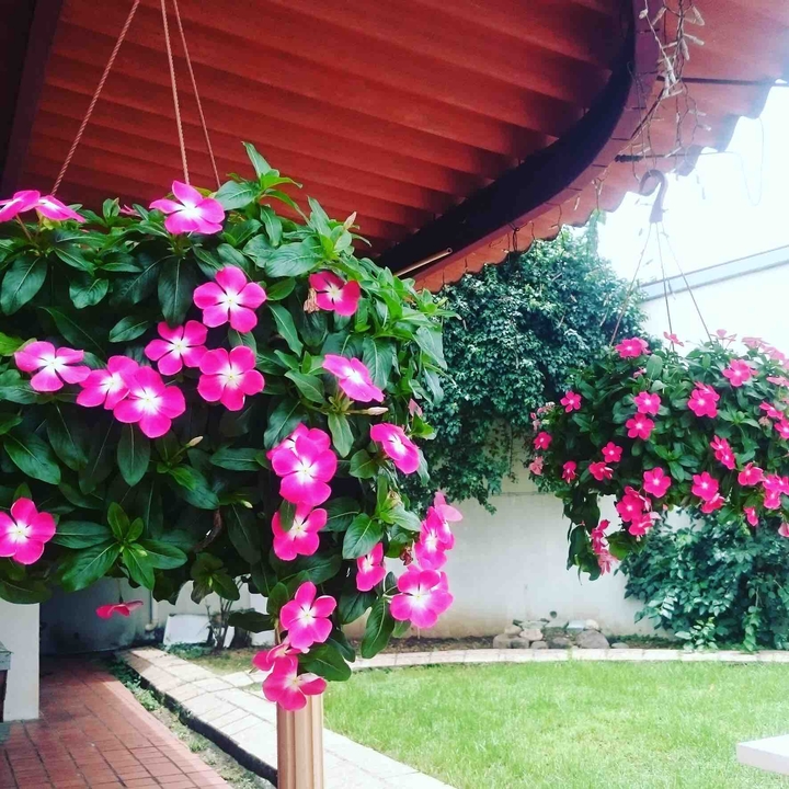 #homesweethome