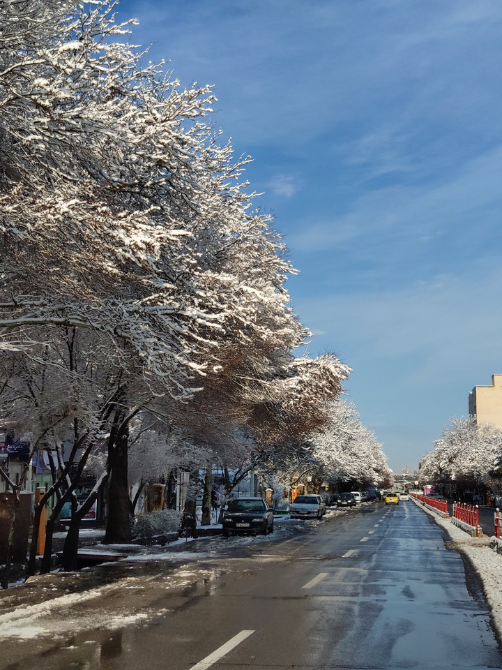 winter