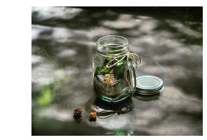 Terrarium