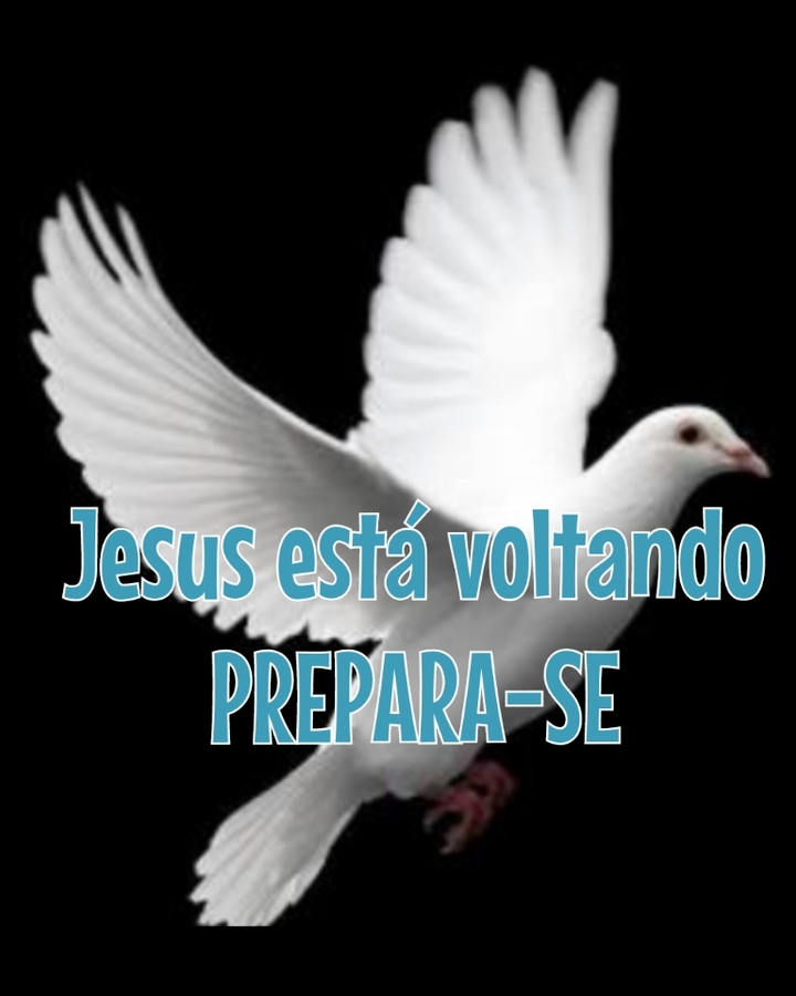 JESUS ESTÁ VOLTANDO
