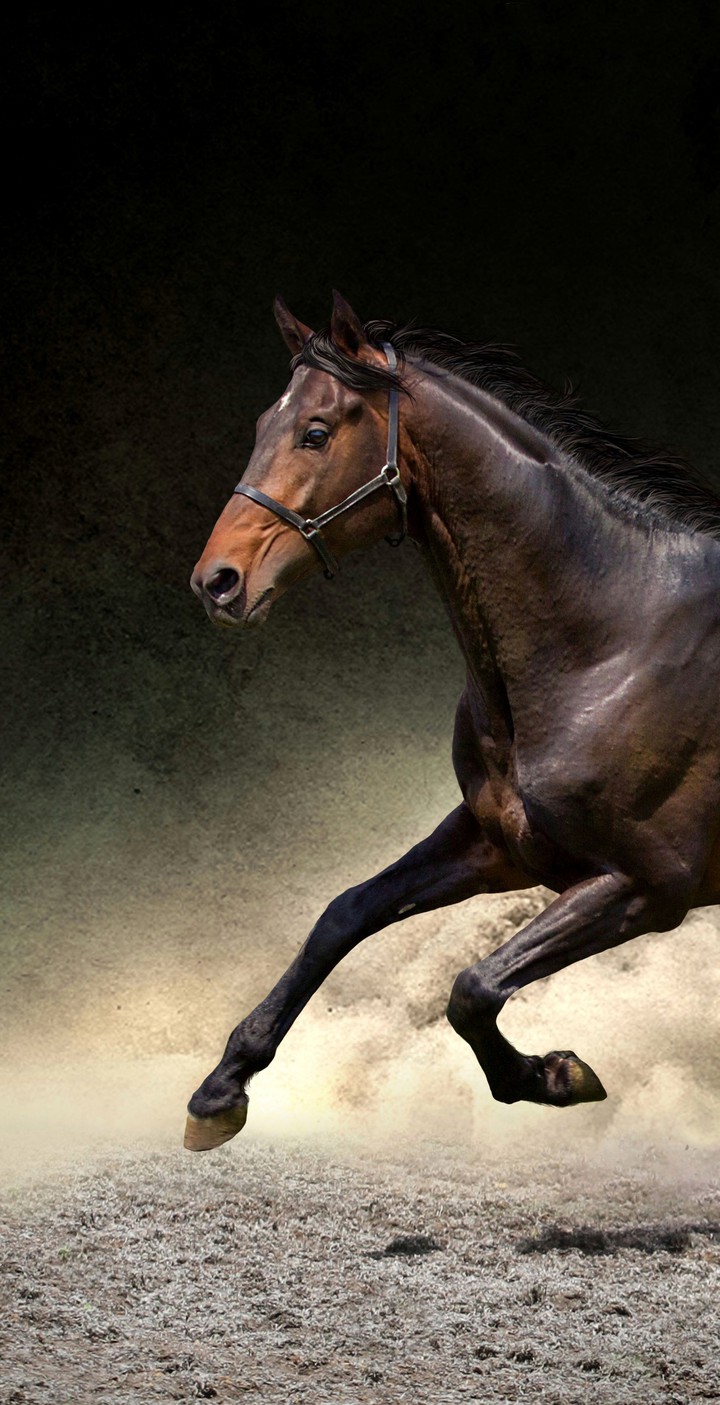hors